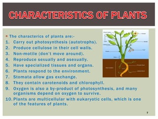 Presentation on Photography of plants.pptx