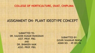 COLLEGE OF HORTICULTURE, OUAT, CHIPLIMA
ASSIGNMENT ON- PLANT IDEOTYPE CONCEPT
SUBMITTED TO-
DR. KAUSHIK KUMAR PANIGRAHI
ASST. PROF. PBG
AND
DR. BHIMSEN NAIK
ASSO. PROF. PBG
SUBMITTED BY-
GOURI SHANKAR PANDA
ADMN NO. – 49 HO/16
 