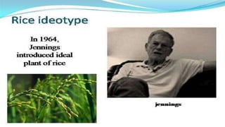 Presentation on plant ideotype concept