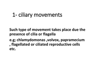 1- ciliary movements
Such type of movement takes place due the
presence of cilia or flagella
e.g; chlamydomonas ,volvox, papramecium
, flagellated or ciliated reproductive cells
etc.
 