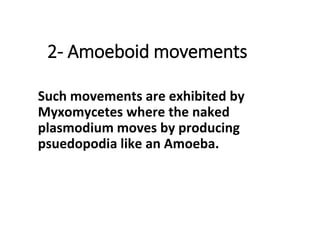 2- Amoeboid movements
Such movements are exhibited by
Myxomycetes where the naked
plasmodium moves by producing
psuedopodia like an Amoeba.
 