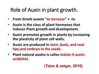 Role of Auxin in plant growth.
• From Greek auxein "to increase" + -in.
• Auxin is the class of plant hormones that
induces Plant growth and development.
• Auxin promotes growth in plants by increasing
the plasticity of plant cell walls.
• Auxin are produced in stem ,buds, and root
tips,and embryo in the seeds.
• Plant natural auxins is callec Indole-3-acetic
acid(IAA).
(Taize & zeigar, 2010)
 