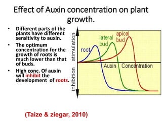 Effect of Auxin concentration on plant
growth.
• Different parts of the
plants have different
sensitivity to auxin.
• The optimum
concentration for the
growth of roots is
much lower than that
of buds.
• High conc. Of auxin
will inhibit the
development of roots.
(Taize & ziegar, 2010)
 