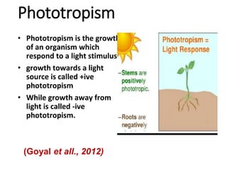 Phototropism
• Phototropism is the growth
of an organism which
respond to a light stimulus.
• growth towards a light
source is called +ive
phototropism
• While growth away from
light is called -ive
phototropism.
(Goyal et all., 2012)
 