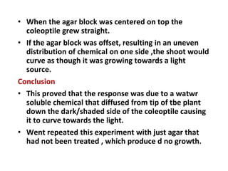 • When the agar block was centered on top the
coleoptile grew straight.
• If the agar block was offset, resulting in an uneven
distribution of chemical on one side ,the shoot would
curve as though it was growing towards a light
source.
Conclusion
• This proved that the response was due to a watwr
soluble chemical that diffused from tip of tbe plant
down the dark/shaded side of the coleoptile causing
it to curve towards the light.
• Went repeated this experiment with just agar that
had not been treated , which produce d no growth.
 