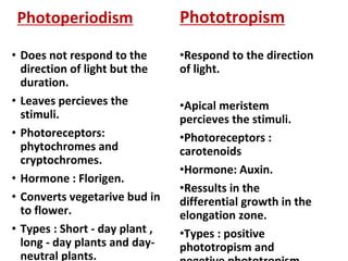 Photoperiodism
• Does not respond to the
direction of light but the
duration.
• Leaves percieves the
stimuli.
• Photoreceptors:
phytochromes and
cryptochromes.
• Hormone : Florigen.
• Converts vegetarive bud in
to flower.
• Types : Short - day plant ,
long - day plants and day-
neutral plants.
Phototropism
•Respond to the direction
of light.
•Apical meristem
percieves the stimuli.
•Photoreceptors :
carotenoids
•Hormone: Auxin.
•Ressults in the
differential growth in the
elongation zone.
•Types : positive
phototropism and
 