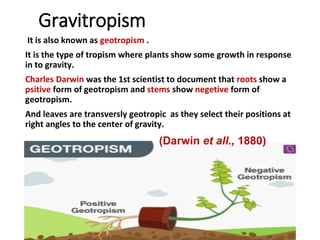Gravitropism
It is also known as geotropism .
It is the type of tropism where plants show some growth in response
in to gravity.
Charles Darwin was the 1st scientist to document that roots show a
psitive form of geotropism and stems show negetive form of
geotropism.
And leaves are transversly geotropic as they select their positions at
right angles to the center of gravity.
(Darwin et all., 1880)
 