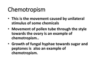 Chemotropism
• This is the movement caused by unilateral
stimulus of some chemicals
• Movement of pollen tube through the style
towards the ovary is an example of
chemotropism..
• Growth of fungal hyphae towards sugar and
peptones is also an example of
chemotropism.
 