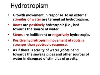 Hydrotropism
• Growth movement in response to an external
stimulus of water are termed ad hydrotropism.
• Roots are positively hrdrotrpoic (i.e., bed
towards the source of water.
• Stems are indifferent or negarively hydrotropic.
• Positive hydrotropism movement of roots is
stronger than geotropic response.
• As if there is scacity of water ,roots bend
towards the sewage pipes and other sources of
water in disregrad of stimulus of gravity.
 