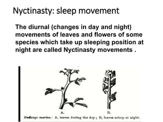 Nyctinasty: sleep movement
The diurnal (changes in day and night)
movements of leaves and flowers of some
species which take up sleeping position at
night are called Nyctinasty movements .
 