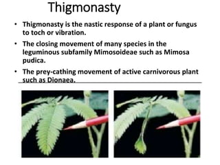 Thigmonasty
• Thigmonasty is the nastic response of a plant or fungus
to toch or vibration.
• The closing movement of many species in the
leguminous subfamily Mimosoideae such as Mimosa
pudica.
• The prey-cathing movement of active carnivorous plant
such as Dionaea.
 