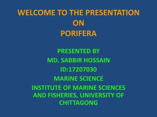 WELCOME TO THE PRESENTATION
ON
PORIFERA
PRESENTED BY
MD. SABBIR HOSSAIN
ID:17207030
MARINE SCIENCE
INSTITUTE OF MARINE SCIENCES
AND FISHERIES, UNIVERSITY OF
CHITTAGONG
 