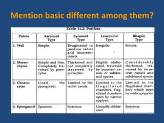 Mention basic different among them?
 