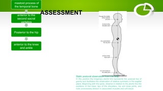 mastoid process of
the temporal bone
anterior to the
second sacral
vertebra
Posterior to the hip
anterior to the knee
and ankle
Static postural observation from the side
In this position the imaginary plumb line represents the postural line of
gravity and facilitates the observation of relative symmetry in the sagittal
plane. Beginning with the spine, observe in relation to the plumb line the
positions of the head, tips of the shoulders, hip and knee joints, and
note unnecessary tension in associated muscles and soft tissue
ASSESSMENT
 