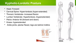 Kyphotic-Lordotic Posture
• Head- Forward
• Cervical Spine- Hyper-lordosis (hyper-extended)
• Thoracic Vertebrate- increased flexion
• Lumbar Vertebrate- Hyperlordosis; (hyperextended)
• Pelvis- Anterior tilt (forward and down)
• Knees- hyperextended
• Ankle joints- plantar flexed, legs are behind midline
 