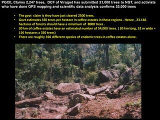 PGCIL Claims 2,247 trees, DCF of Virajpet has submitted 21,000 trees to NGT, and activists 
who have done GPS mapping and scientific data analysis confirms 55,000 trees 
• The govt claim is they have just cleared 2500 trees. 
• Govt estimates 350 trees per hectare in coffee estates in these regions . Hence , 23.166 
hectares of forests should have a minimum of 8000 trees . 
• 30 km of coffee estates have an estimated number of 54,000 trees. ( 30 km long, 52 m wide = 
156 hectares x 350 trees) 
• There are roughly 350 different species of endemic trees in coffee estates alone. 
 