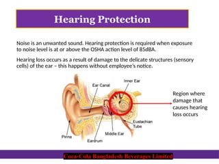 Coca-Cola Bangladesh Beverages Limited
Hearing Protection
Noise is an unwanted sound. Hearing protection is required when exposure
to noise level is at or above the OSHA action level of 85dBA.
Hearing loss occurs as a result of damage to the delicate structures (sensory
cells) of the ear – this happens without employee’s notice.
Region where
damage that
causes hearing
loss occurs
Coca-Cola Bangladesh Beverages Limited
 