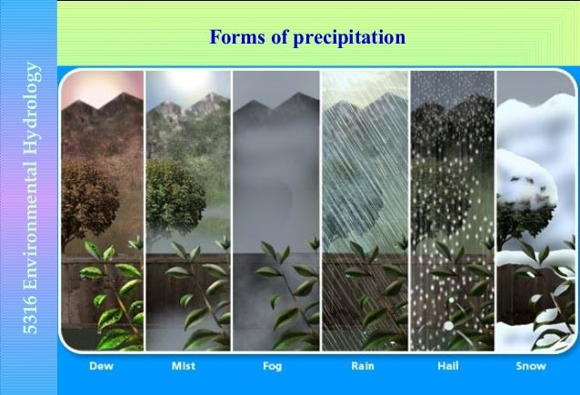 precipitation form of precipitation
