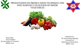 PRESENTATION ON PRODUCATION TECHNIQUE AND
POST HARVEST UTILIZATION OF MINOR
VEGETABLES
Prepared By:
Nayan Adhikari
Bsc Horticulture 2nd Semester
MRMC, Ilam
Submitted To :
Mr. Sanu Krishna Maharjan
Assistant Prof.
Department of Horticulture
MRMC, Ilam
 
