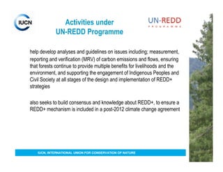 Activities under
            UN-REDD Programme

help develop analyses and guidelines on issues including; measurement,
reporting and verification (MRV) of carbon emissions and flows, ensuring
that forests continue to provide multiple benefits for livelihoods and the
environment, and supporting the engagement of Indigenous Peoples and
Civil Society at all stages of the design and implementation of REDD+
strategies

also seeks to build consensus and knowledge about REDD+, to ensure a
REDD+ mechanism is included in a post-2012 climate change agreement




   IUCN, INTERNATIONAL UNION FOR CONSERVATION OF NATURE
 