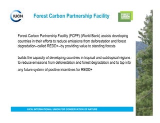 Forest Carbon Partnership Facility


Forest Carbon Partnership Facility (FCPF) (World Bank) assists developing
countries in their efforts to reduce emissions from deforestation and forest
degradation--called REDD+--by providing value to standing forests

builds the capacity of developing countries in tropical and subtropical regions
to reduce emissions from deforestation and forest degradation and to tap into
any future system of positive incentives for REDD+




      IUCN, INTERNATIONAL UNION FOR CONSERVATION OF NATURE
 