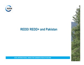 REDD/ REDD+ and Pakistan




IUCN, INTERNATIONAL UNION FOR CONSERVATION OF NATURE
 