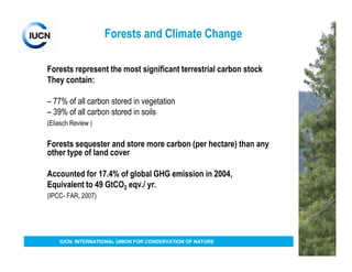 Forests and Climate Change

Forests represent the most significant terrestrial carbon stock
They contain:

– 77% of all carbon stored in vegetation
– 39% of all carbon stored in soils
(Eliasch Review )


Forests sequester and store more carbon (per hectare) than any
other type of land cover

Accounted for 17.4% of global GHG emission in 2004,
Equivalent to 49 GtCO2 eqv./ yr.
(IPCC- FAR, 2007)




    IUCN, INTERNATIONAL UNION FOR CONSERVATION OF NATURE
 
