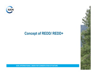 Concept of REDD/ REDD+




IUCN, INTERNATIONAL UNION FOR CONSERVATION OF NATURE
 