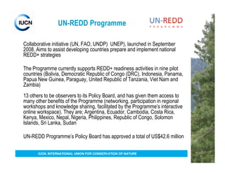 UN-REDD Programme

Collaborative initiative (UN, FAO, UNDP) UNEP), launched in September
2008. Aims to assist developing countries prepare and implement national
REDD+ strategies

The Programme currently supports REDD+ readiness activities in nine pilot
countries (Bolivia, Democratic Republic of Congo (DRC), Indonesia, Panama,
Papua New Guinea, Paraguay, United Republic of Tanzania, Viet Nam and
Zambia)
13 others to be observers to its Policy Board, and has given them access to
many other benefits of the Programme (networking, participation in regional
workshops and knowledge sharing, facilitated by the Programme’s interactive
online workspace). They are; Argentina, Ecuador, Cambodia, Costa Rica,
Kenya, Mexico, Nepal, Nigeria, Philippines, Republic of Congo, Solomon
Islands, Sri Lanka, Sudan

UN-REDD Programme’s Policy Board has approved a total of US$42.6 million

       IUCN, INTERNATIONAL UNION FOR CONSERVATION OF NATURE
 