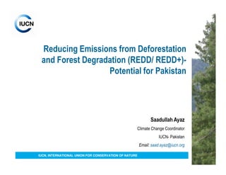 Reducing Emissions from Deforestation
 and Forest Degradation (REDD/ REDD+)-
                  Potential for Pakistan




                                                             Saadullah Ayaz
                                                   Climate Change Coordinator
                                                                 IUCN- Pakistan
                                                       Email: saad.ayaz@iucn.org

IUCN, INTERNATIONAL UNION FOR CONSERVATION OF NATURE
 