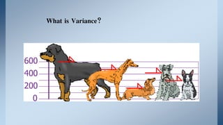 What is Variance?
 