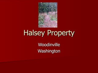 Halsey Property Woodinville Washington 