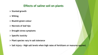 Effects of saline soil on plants
 Stunted growth
 Wilting
 Blueish-green colour
 Necrosis of leaf tips
 Drought stress symptoms
 Specific toxicity
 Plant species vary in salt tolerance
 Salt injury – High salt levels when high rates of fertilizers or manures applied.
 