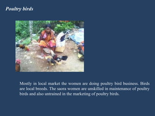 Poultry birds Mostly in local market the women are doing poultry bird business. Birds are local breeds. The saora women are unskilled in maintenance of poultry birds and also untrained in the marketing of poultry birds. 