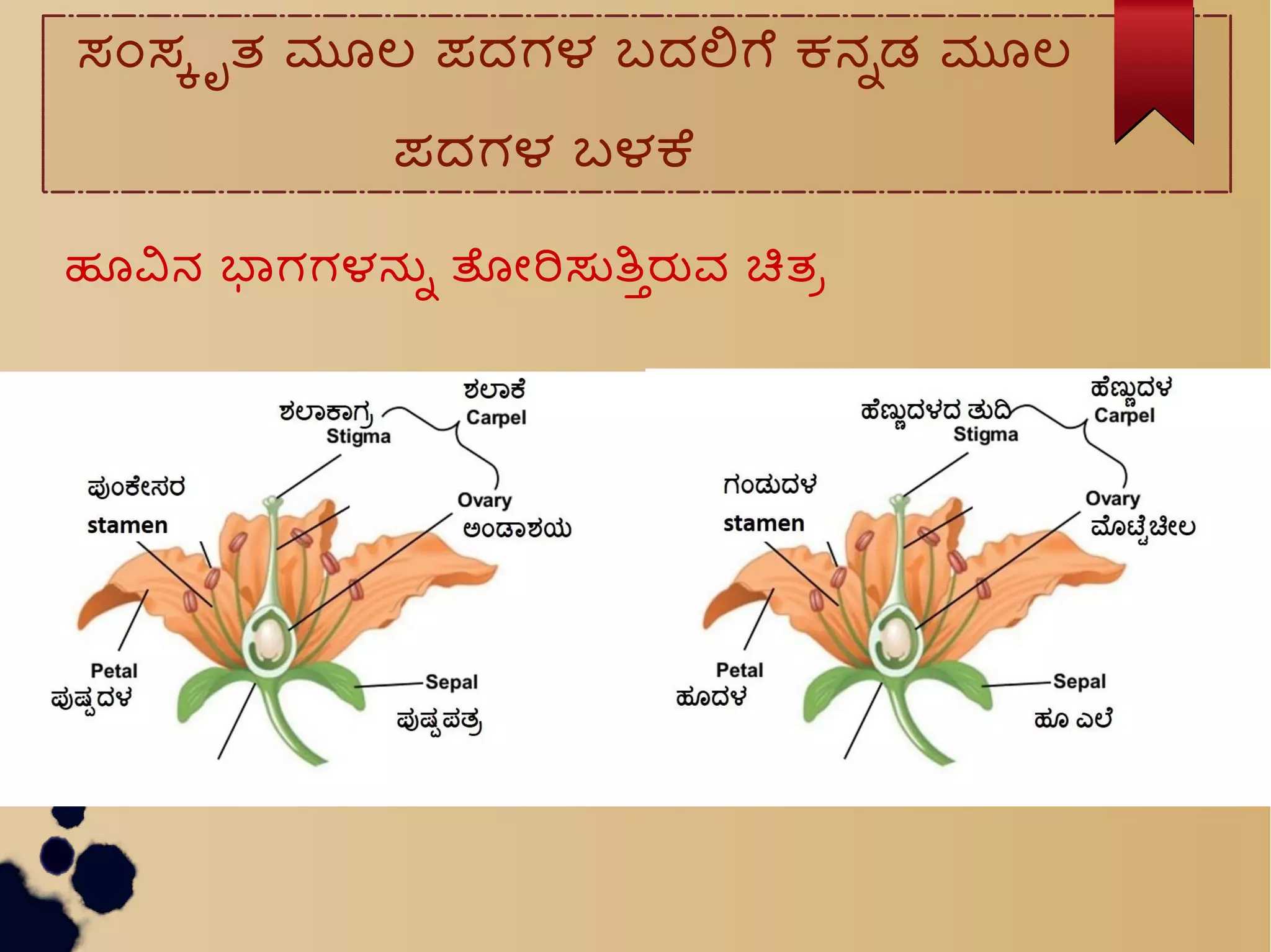 ಸಒಸಸಸತ ಮಲ ಪದಗಳ ಬದಲಗ ಕನನಡ ಮಲ
ಪದಗಳ ಬಳಕ
ಹವನ ಭಗಗಳನನ ತನರಸತಸರವ ಚತಪ
 