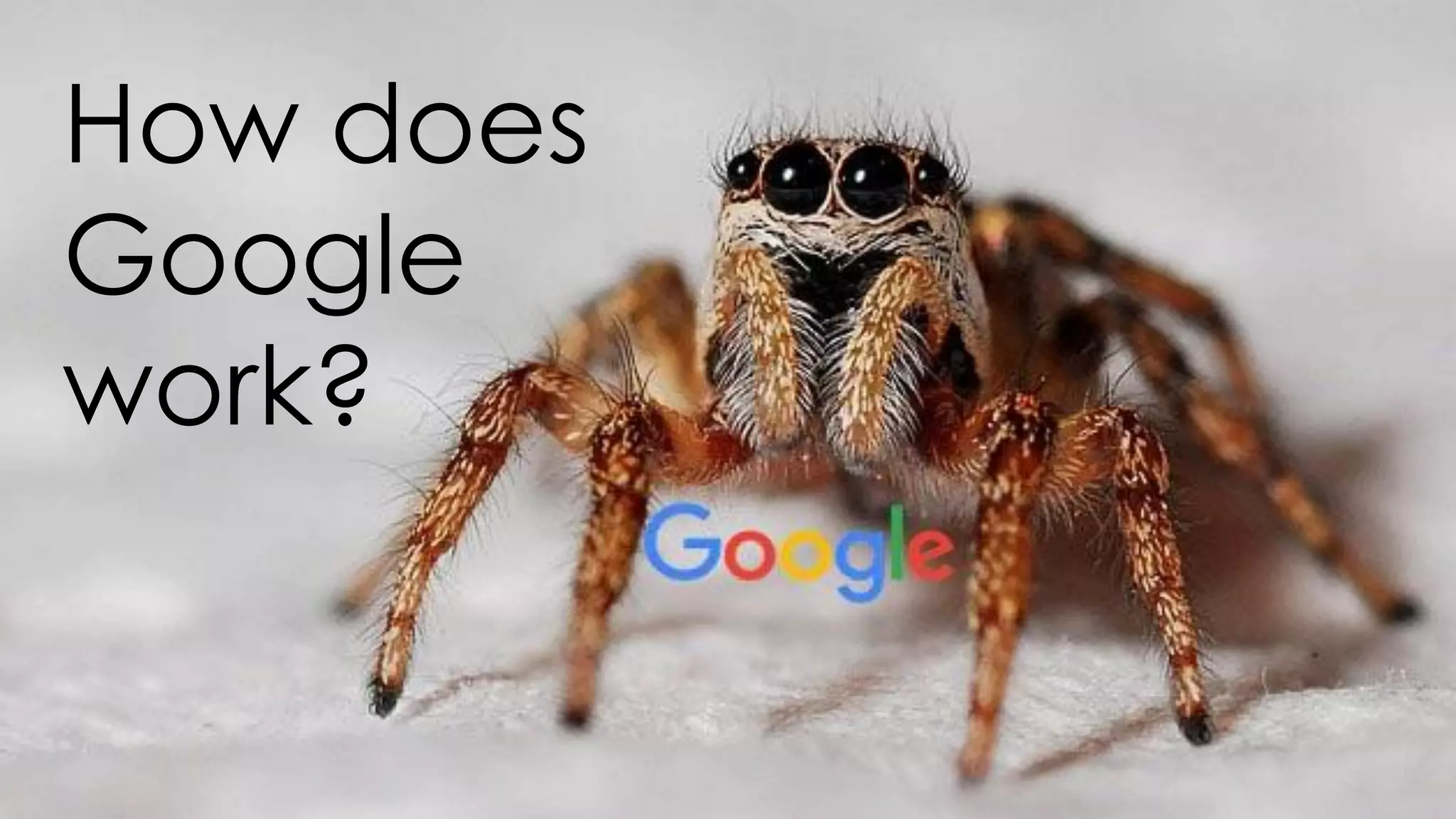 How does
Google
work?
 