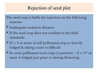 Presentation on Seed Certification.ppt power point presentation | PPT