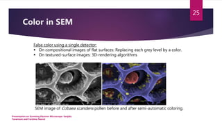 Presentation on SEM (Scanning Electron Microscope) | PPTX