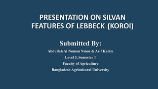 PRESENTATION ON SILVAN
FEATURES OF LEBBECK (KOROI)
Submitted By:
Abdullah Al Noman Neion & Asif Karim
Level 3, Semester 1
Faculty of Agriculture
Bangladesh Agricultural University
 