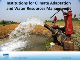 South Asia Water Initiative (SAWI) - Economic and Institutional Landscapes