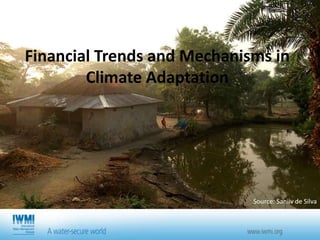 South Asia Water Initiative (SAWI) - Economic and Institutional Landscapes