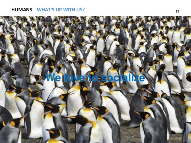 The Enterprise Of Get 1000 Instagram Followers for Free