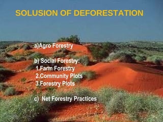 SOLUSION OF DEFORESTATION a)Agro Forestry b) Social Forestry: 1.Farm Forestry 2.Community Plots 3.Forestry Plots c)  Net Forestry Practices 