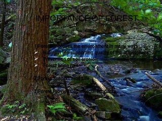 IMPORTANCE OF FOREST 1)Forest improves the environment in many ways: Maintain life-supporting quality of the atmosphere Prevention of soil erosion Forest bring rain 2)Forest Support Wild Life 3)Forest Provide Commercial Products 