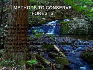 Lumbering should be minimized.(Cutting of trees for timber) Prevention of forest fires. Control of insects, pests & diseases. Plantation of new tress. Preservation of wild animals. Forests , specially the national parks & Sanctuaries should be declared protected places. Cutting or damaging tree has been made a legal offense in most urban areas. 