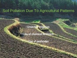 Soil Pollution Due To Agricultural Patterns Unskilled Irrigation Use of chemical fertilizers Use of pesticides 