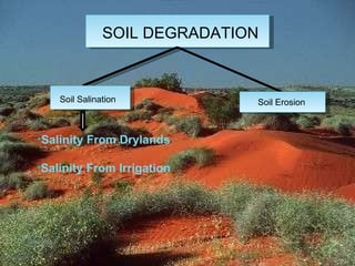 SOIL DEGRADATION Soil Salination Soil Erosion Salinity From Drylands Salinity From Irrigation 