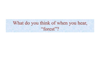 What do you think of when you hear,
“forest”?
 