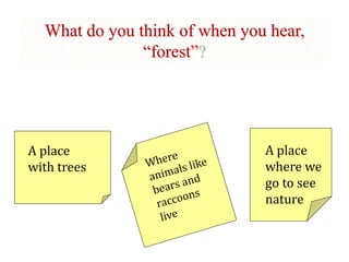 What do you think of when you hear,
“forest”?
A place
with trees
A place
where we
go to see
nature
 