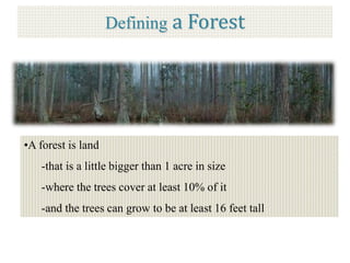 Presentation On Soil And Forest Vvdav 27 6 2014 Copy Ppt Presentation On Soil And Forest Vvdav 27 6 2014 Copy Ppt